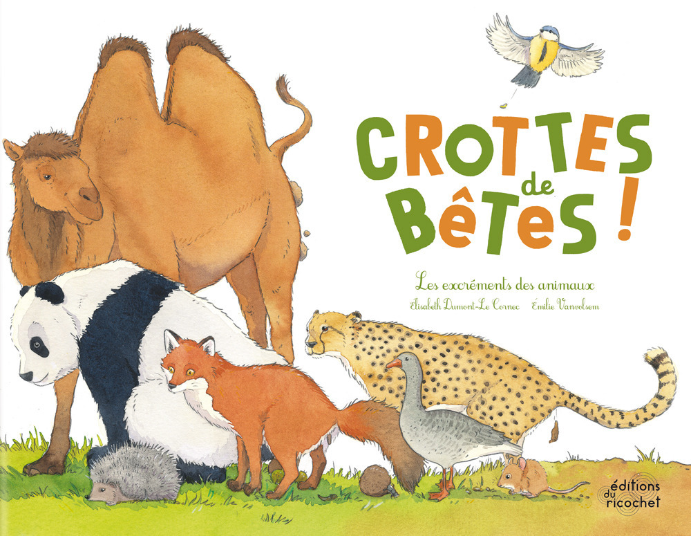 Crottes de bêtes - Les excréments des animaux