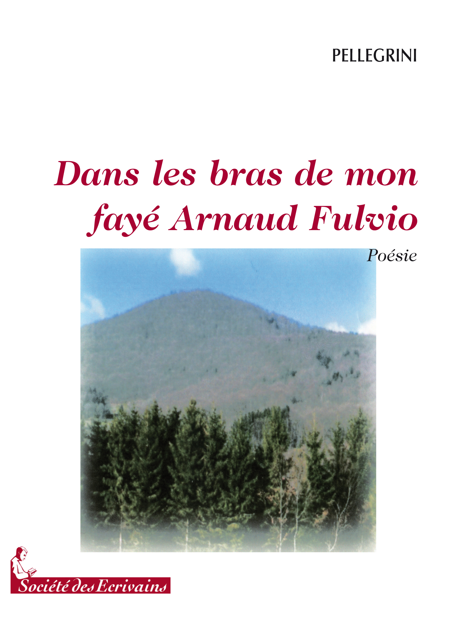 Dans les bras de mon fayé Arnaud Fulvio - poésie