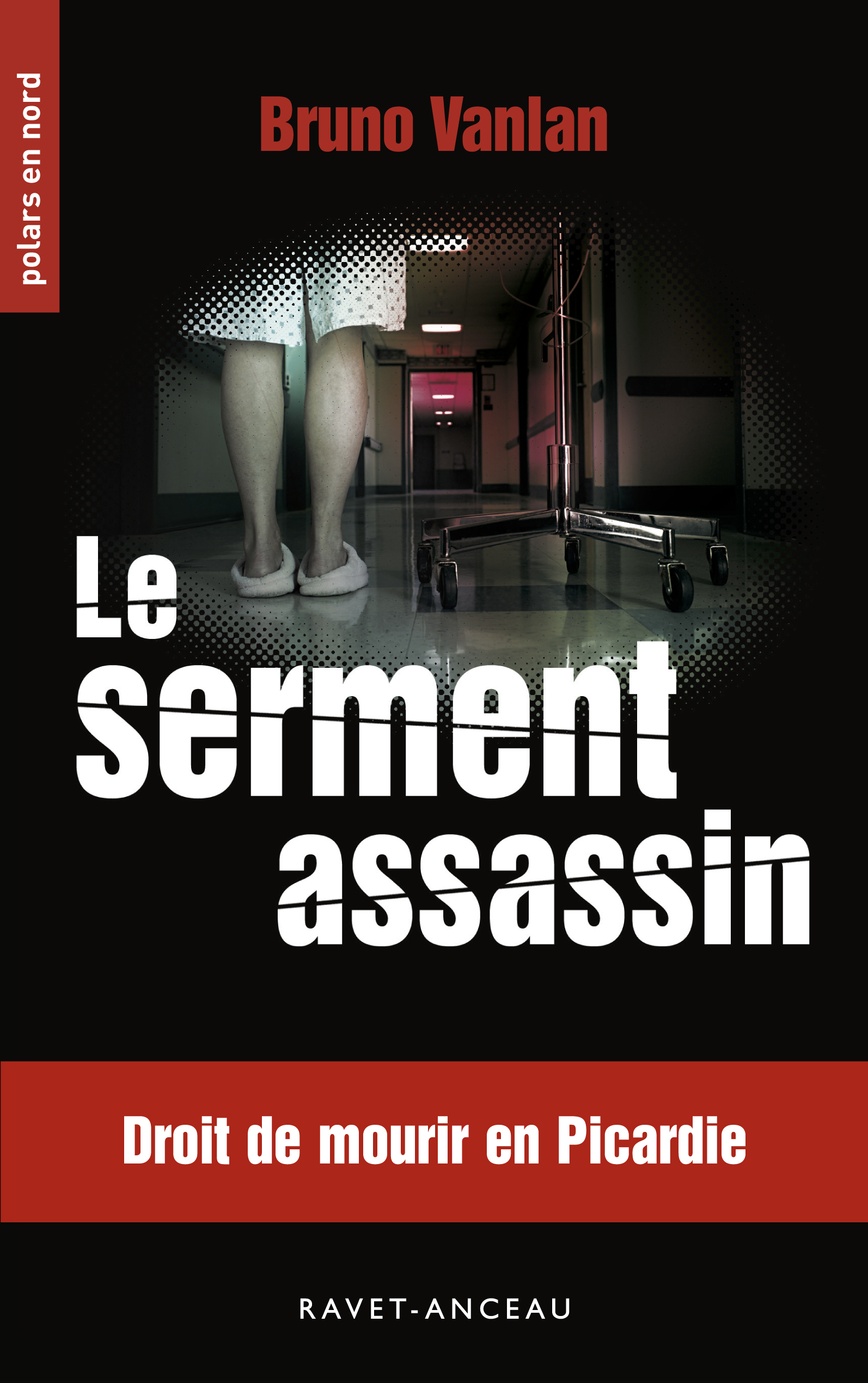 LE SERMENT ASSASSIN