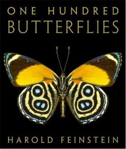 Harold Feinstein One Hundred Butterflies /anglais