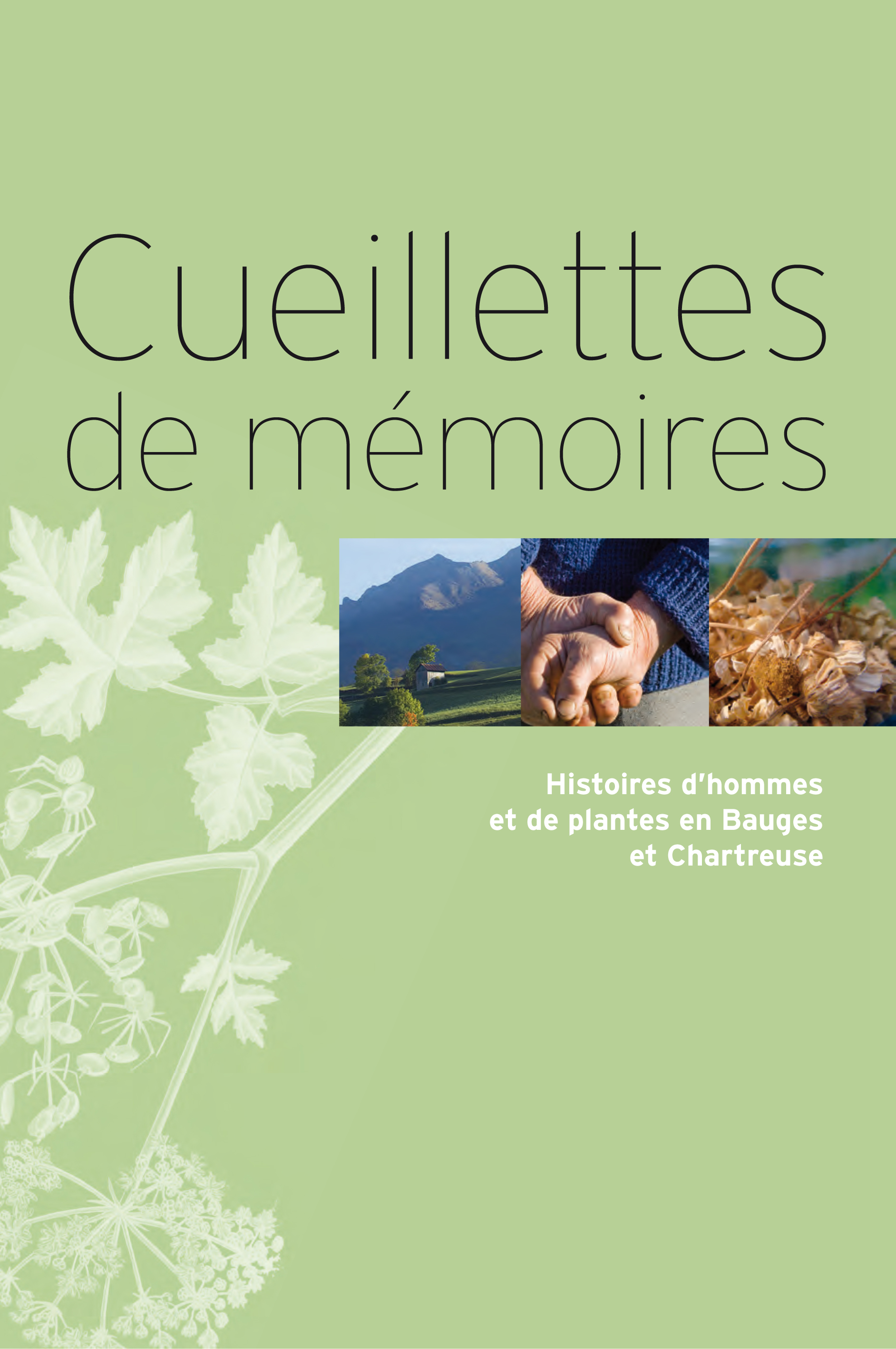 Cueillettes de mémoires