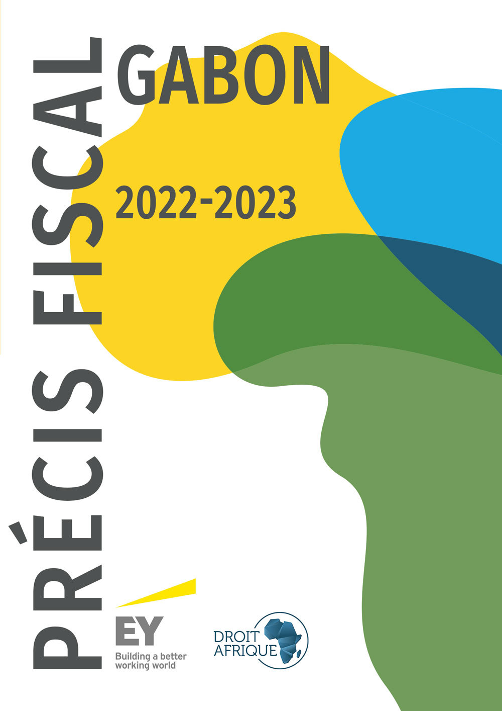 Gabon : Précis fiscal