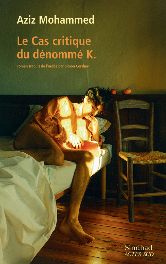 Le Cas critique du dénommé K