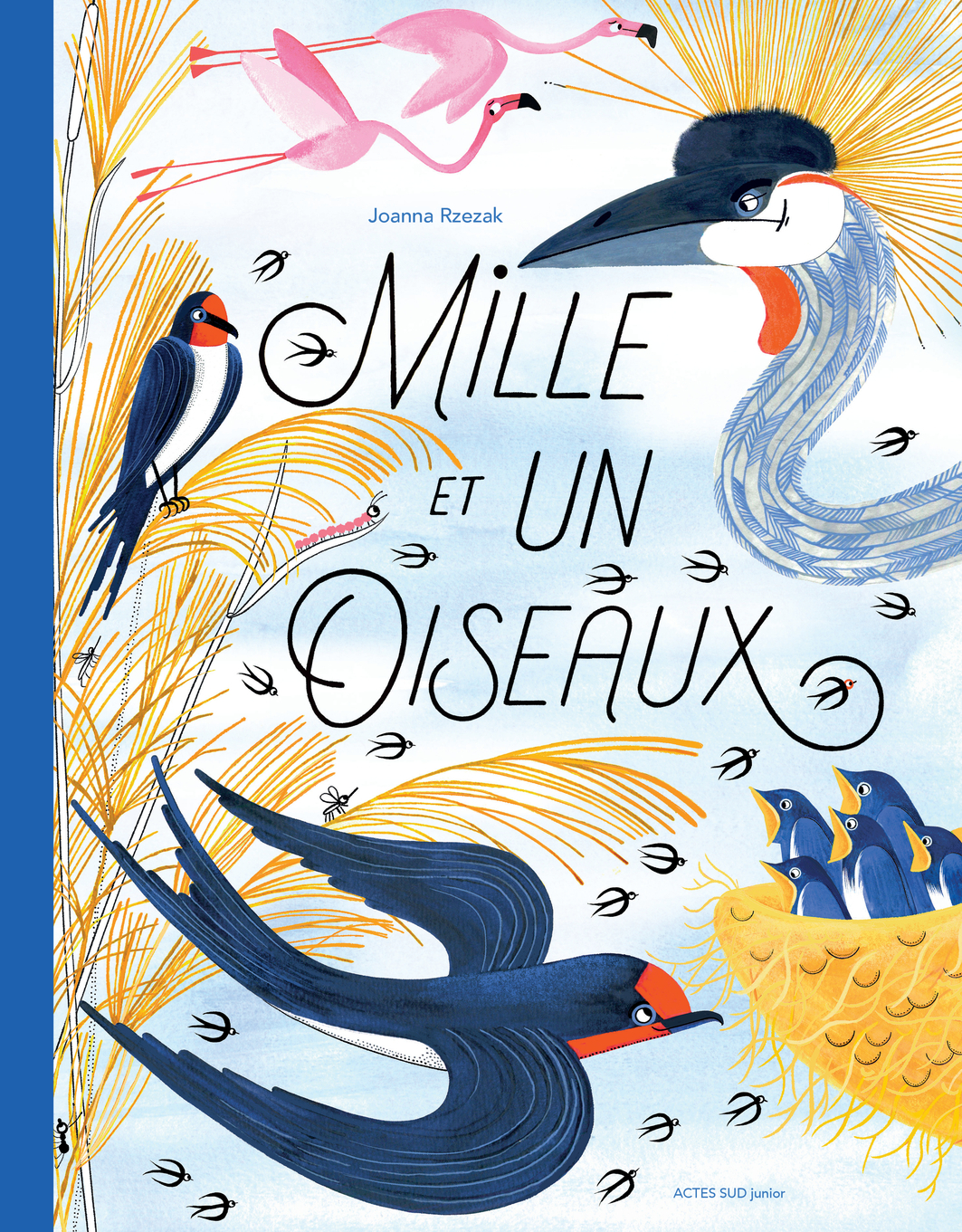Mille et un oiseaux