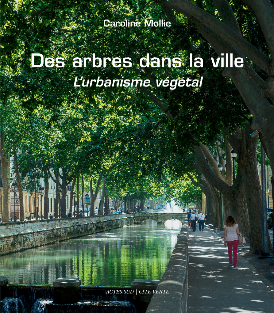 Des arbres dans la ville