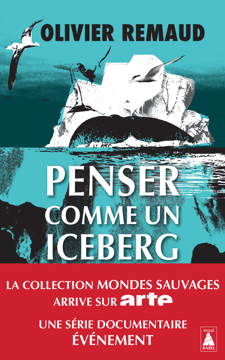 Penser comme un iceberg