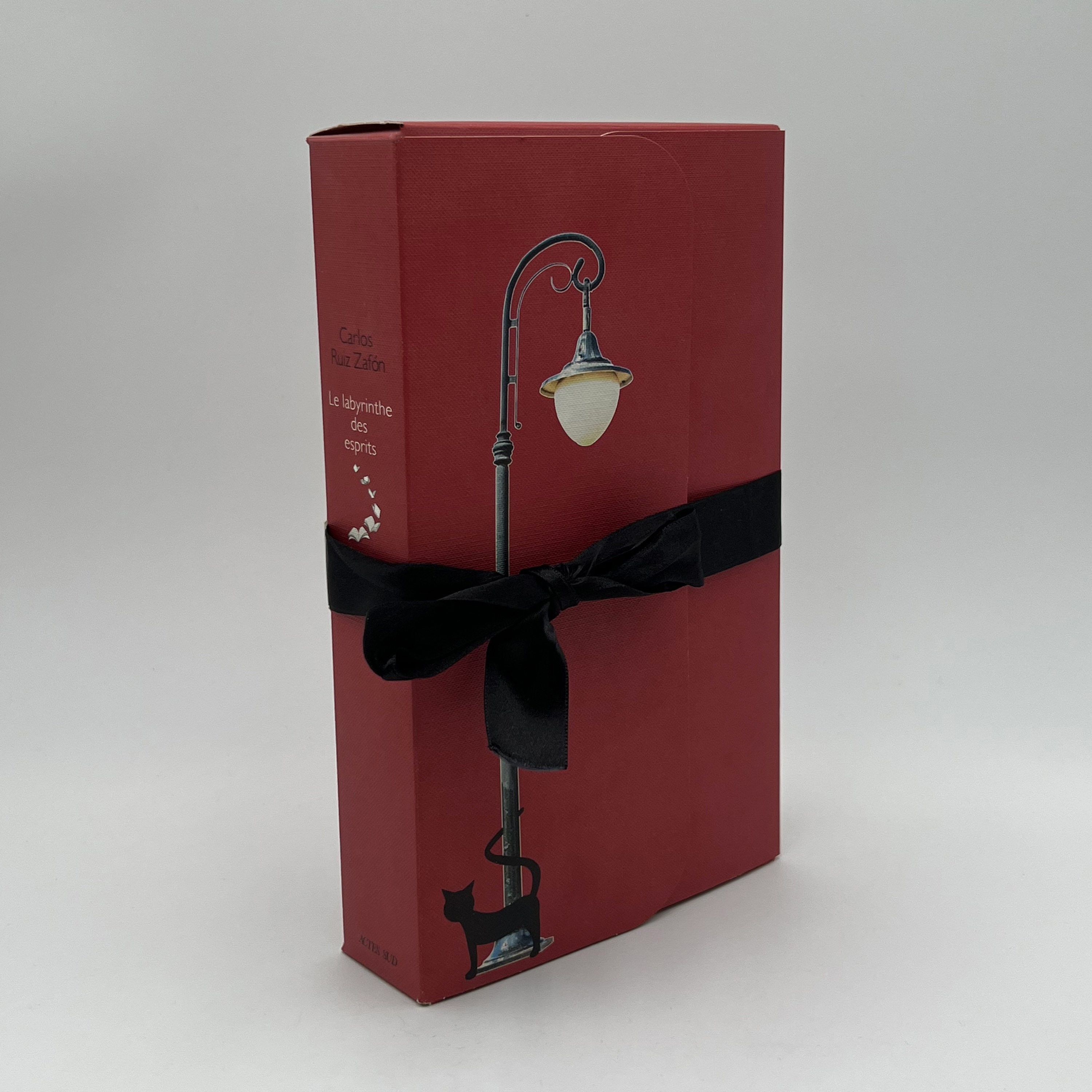 Le Labyrinthe des esprits