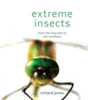 Extreme Insects