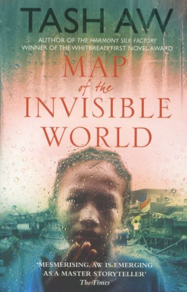 Map of the Invisible World