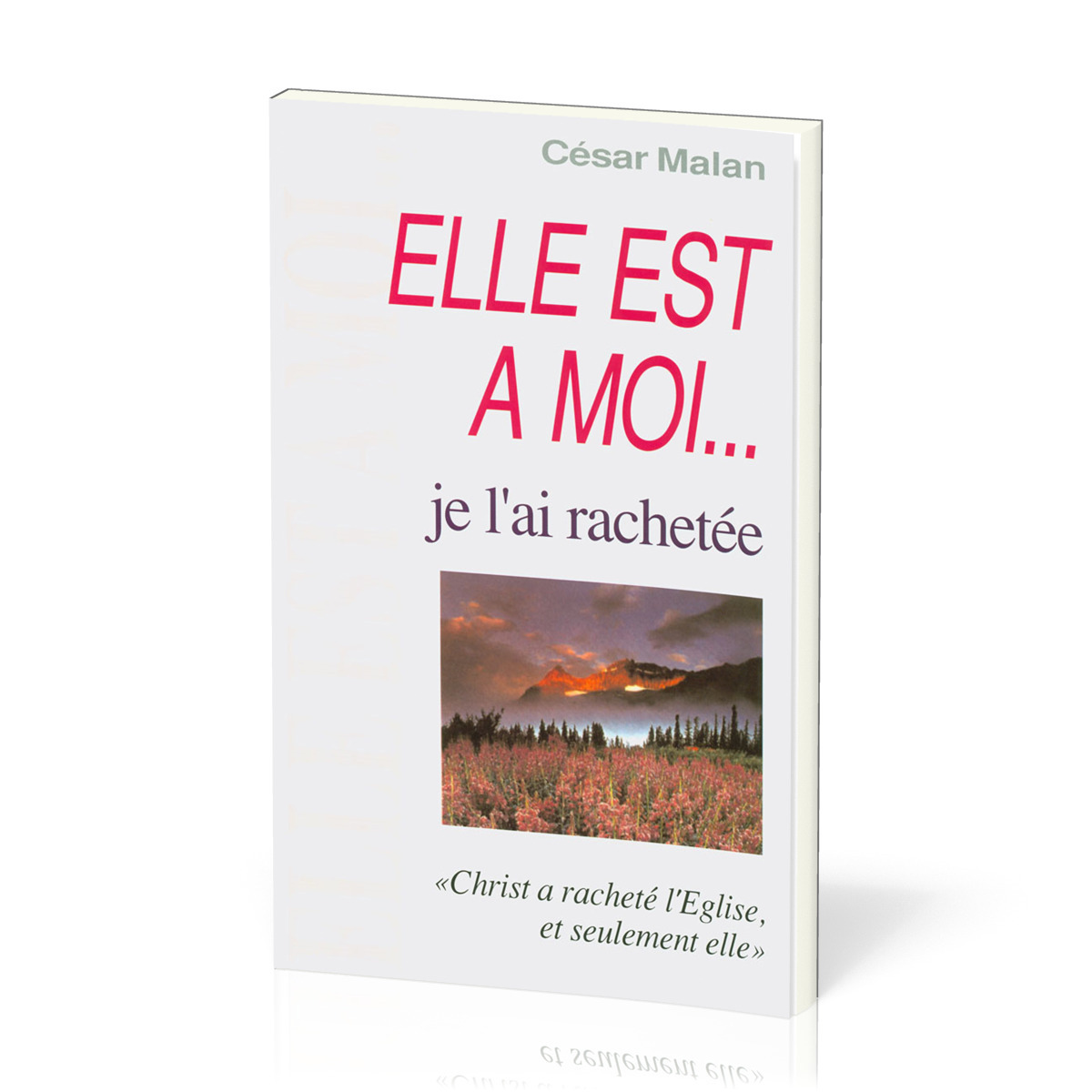 Elle est à moi… je l'ai rachetée