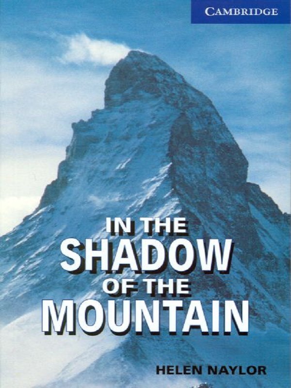 In the Shadow of the Mountain Level 5