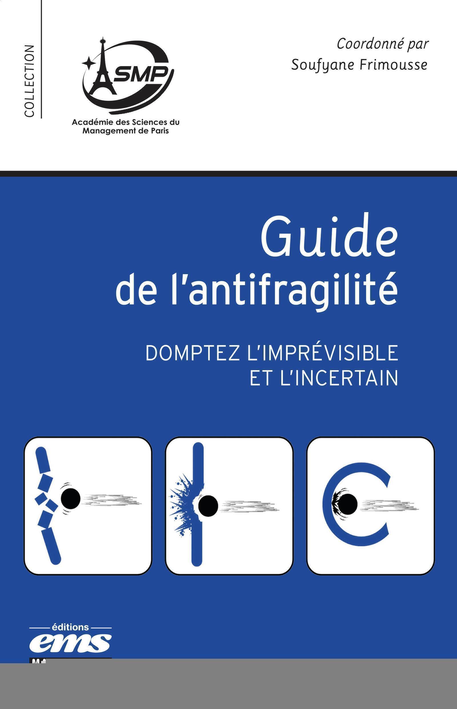 Guide de l'antifragilité