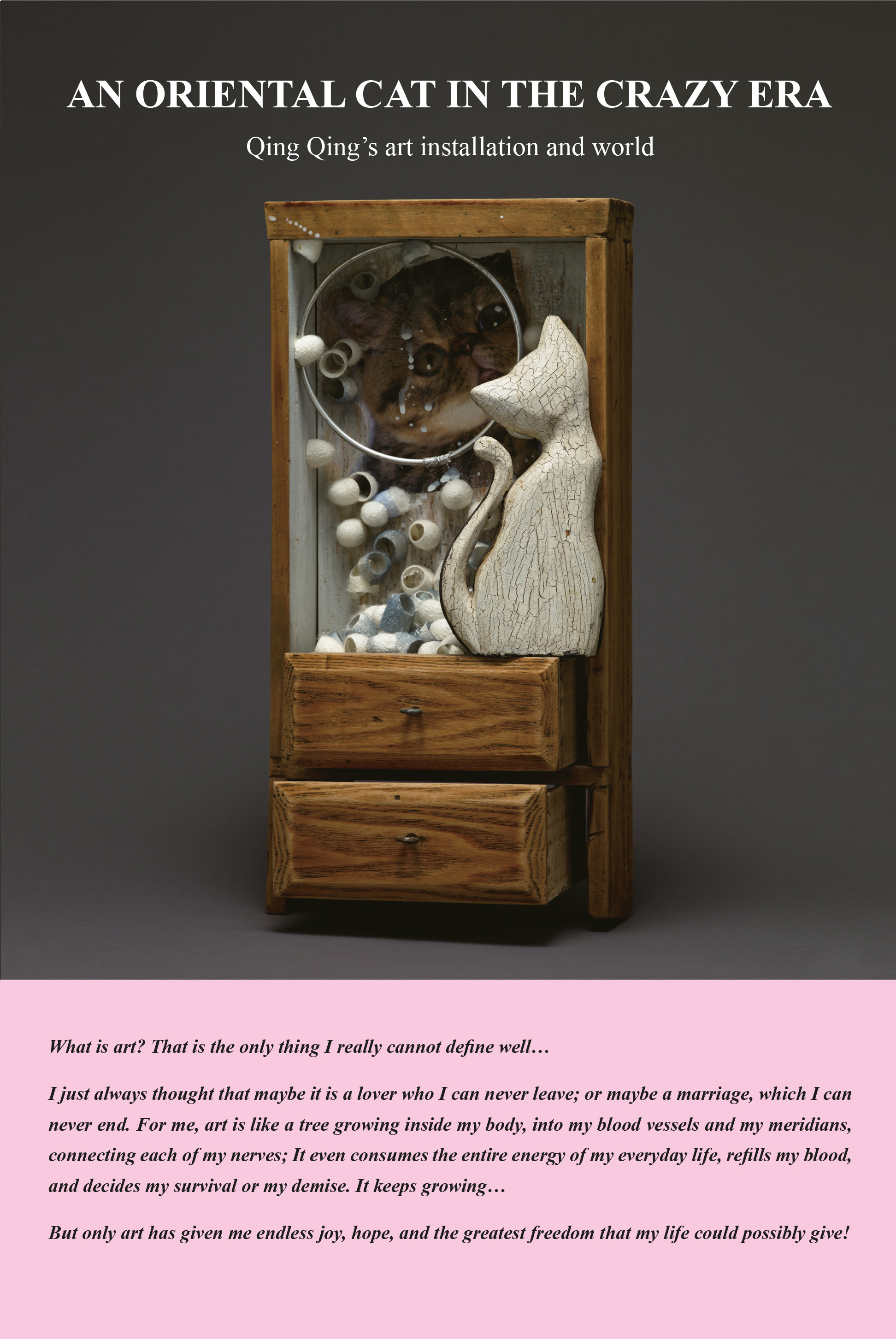 AN ORIENTAL CAT IN THE CRAZY ERA --