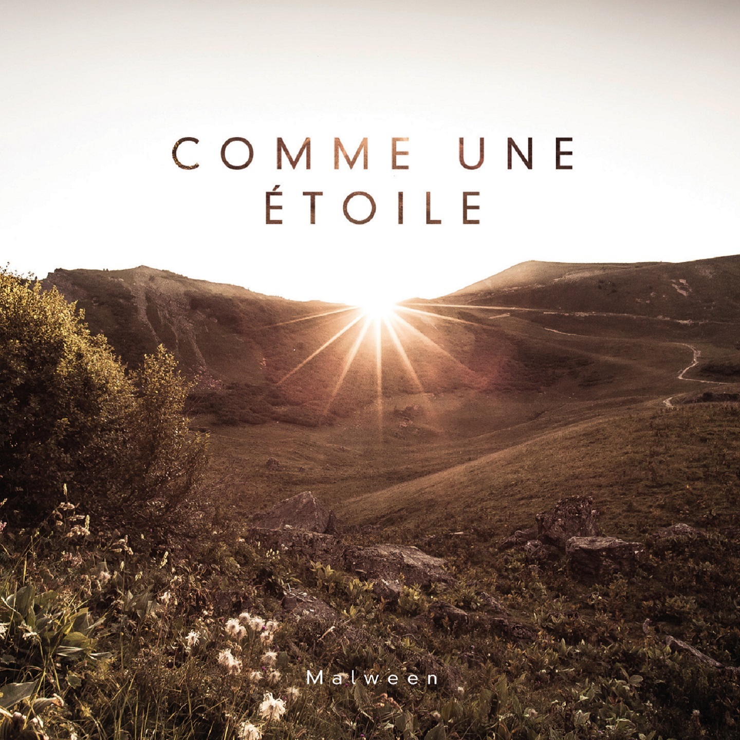 COMME UNE ETOILE