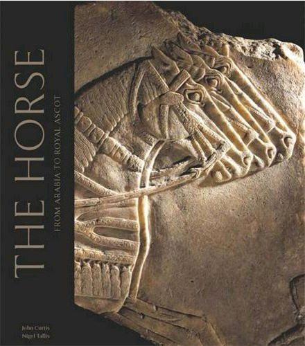 Horses in the Middle East and Beyond /anglais