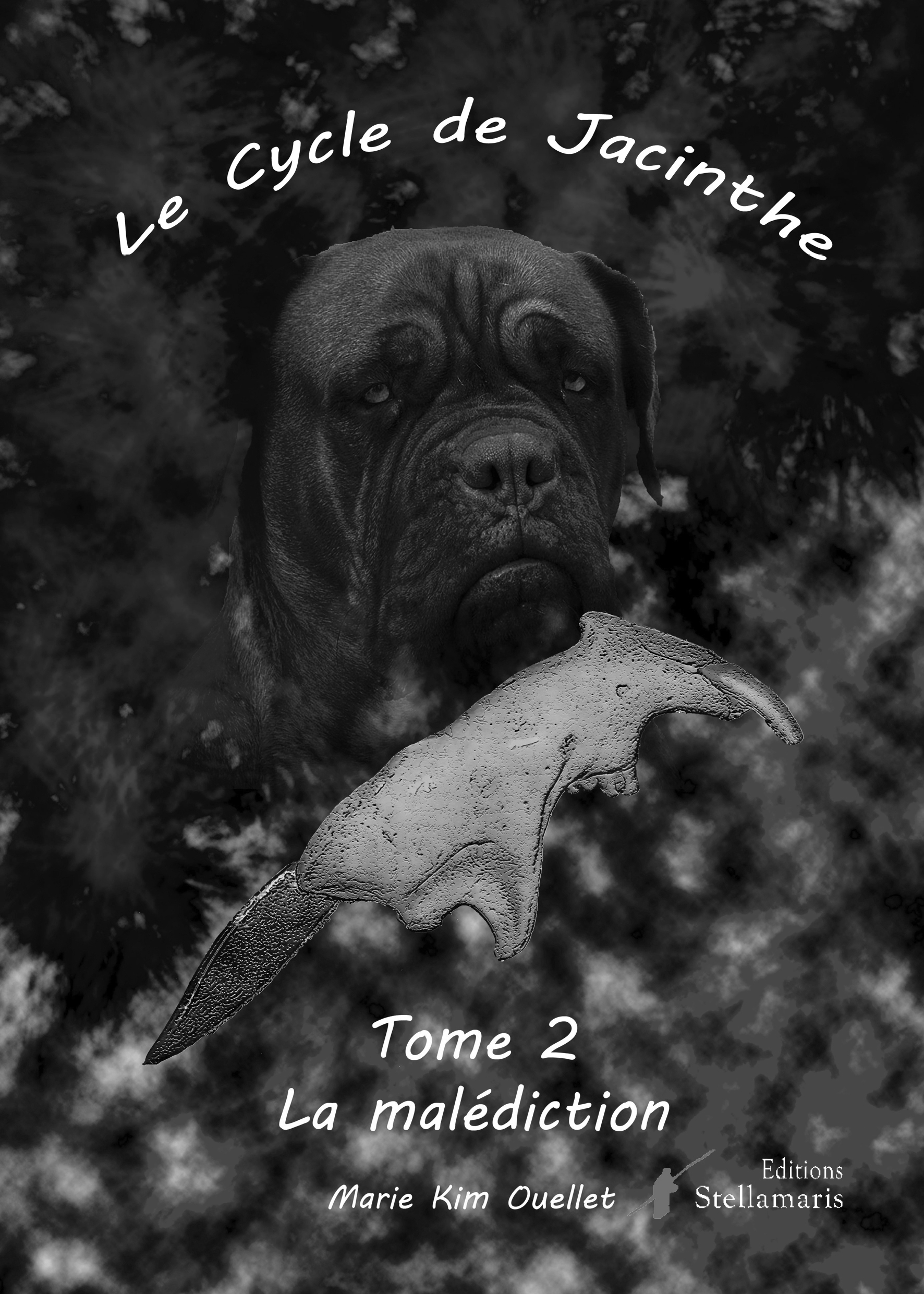 Le cycle de Jacinthe, tome 2 : La malédiction