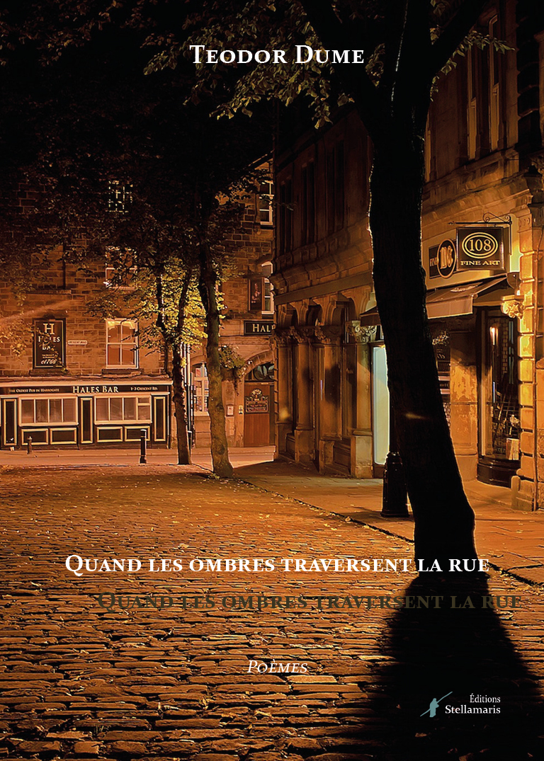 Quand les ombres traversent la rue