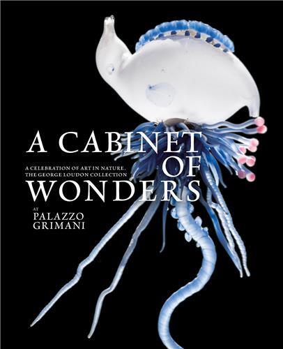 A Cabinet of Wonders: A Celebration of Art in Nature at the Palazzo Grimani, Venice /anglais