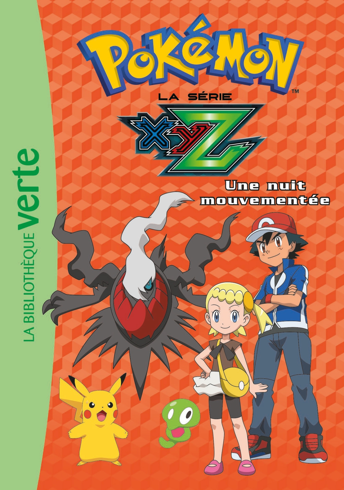Pokémon 30 - Une nuit mouvementée