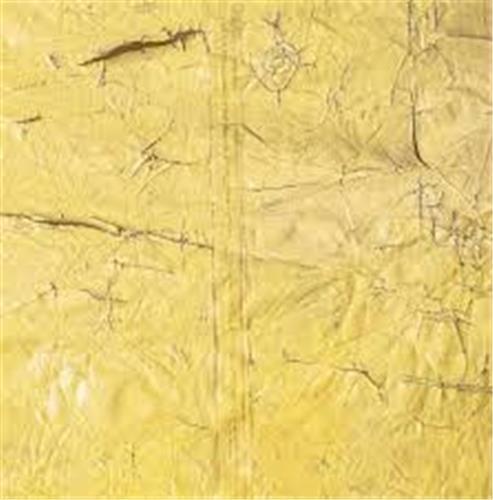 David Hammons /anglais