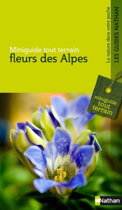 FLEURS DES ALPES