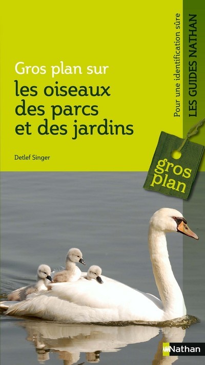 Gros plan sur les oiseaux des parcs et des jardins