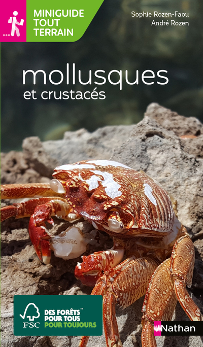 Miniguides tout-terrain : Mollusques et crustacés