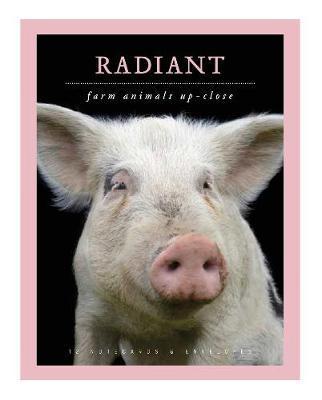 Radiant Farm Animals Up Close Notecards /anglais