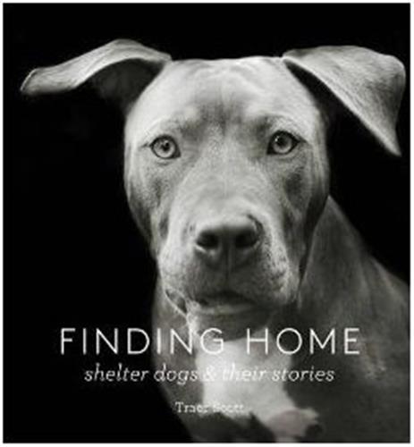 Finding Home Shelter Dogs and Their Stories /anglais