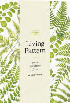 Living Pattern Postcard Packet /anglais