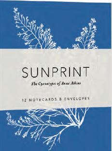Sunprint The Cyanotypes of Anna Atkins - 12 Notecards & Envelopes /anglais