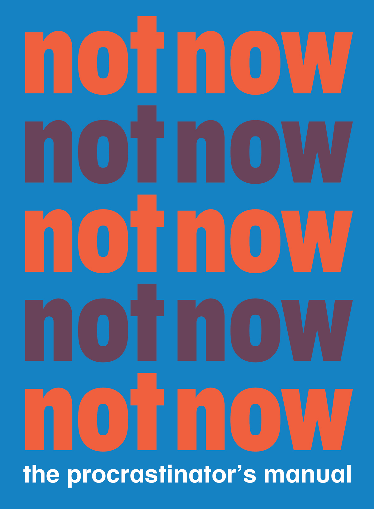 Not Now The Procrastinator's Playbook /anglais