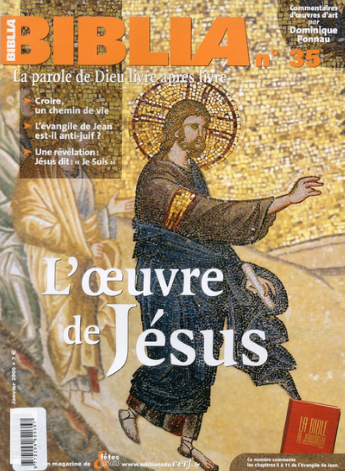 BIBLIA 35 - L'OEUVRE DE JESUS