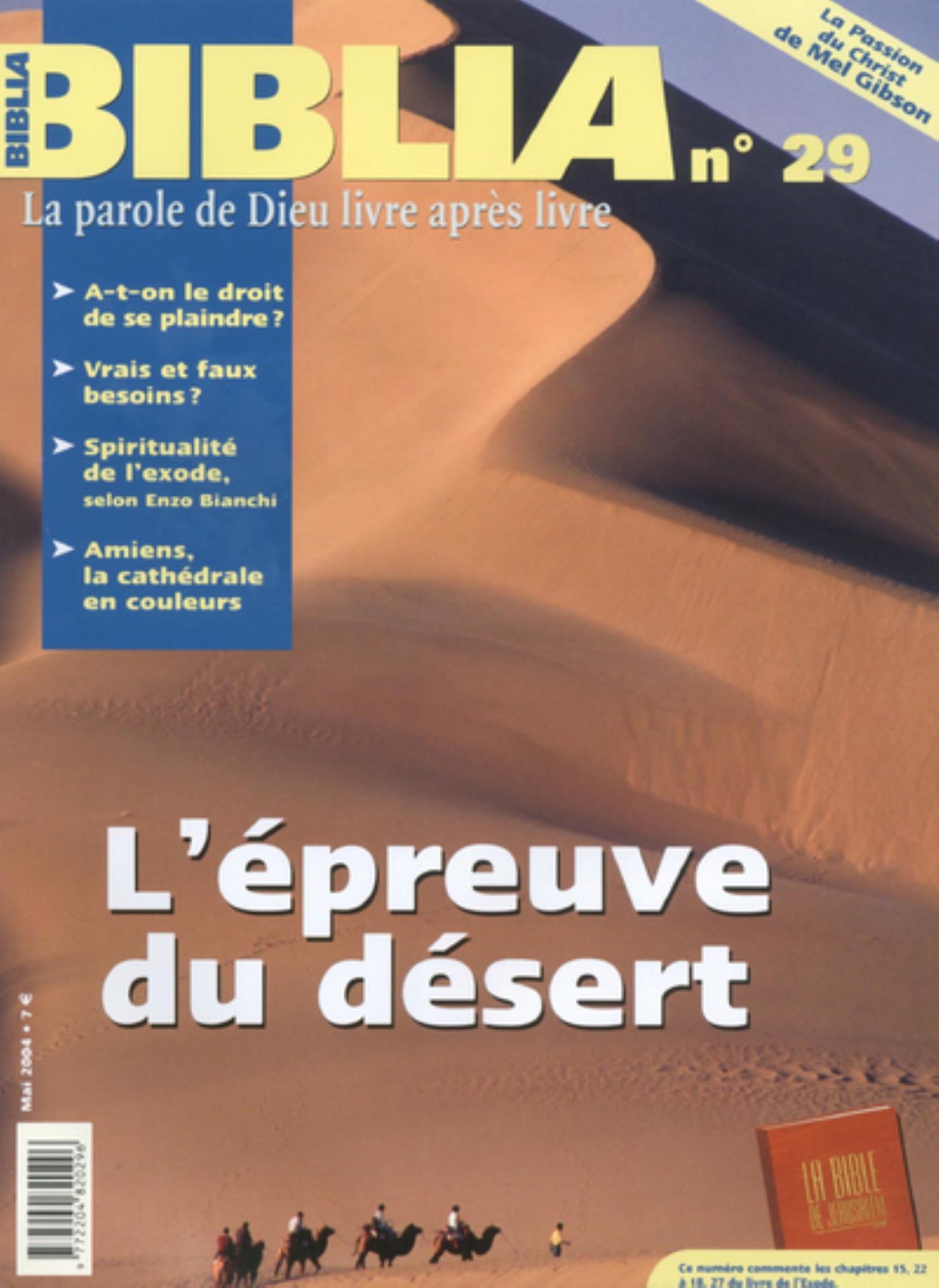 L'BIBLIA 29 - ÉPREUVE DU DÉSERT