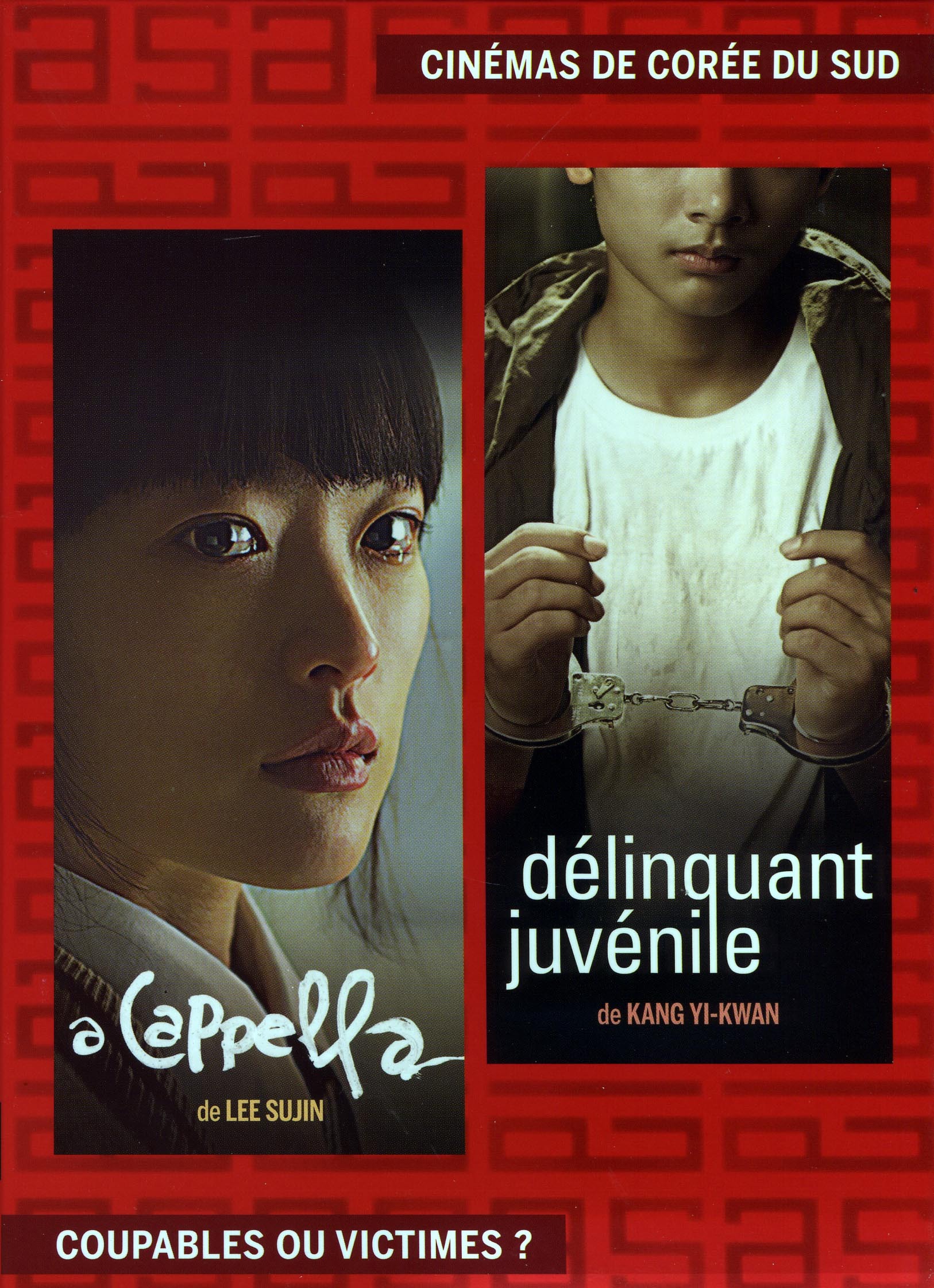CINEMAS DE COREE DU SUD : COUPABLES OU VICTIMES ? - 2 DVD