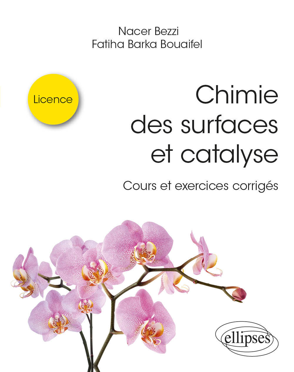 Chimie des surfaces et catalyse