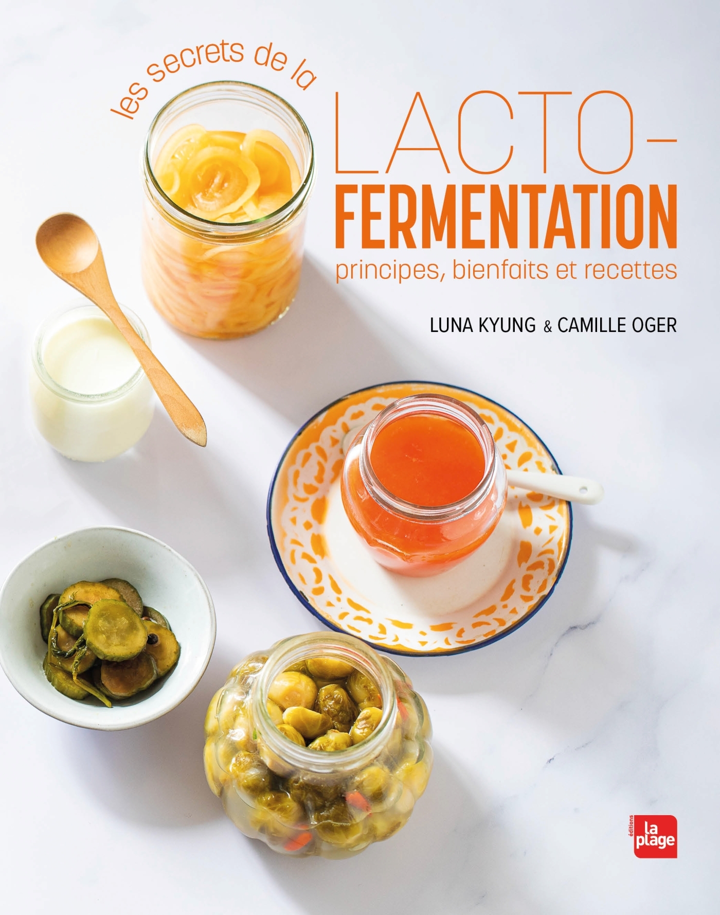 Les secrets de la lacto-fermentation