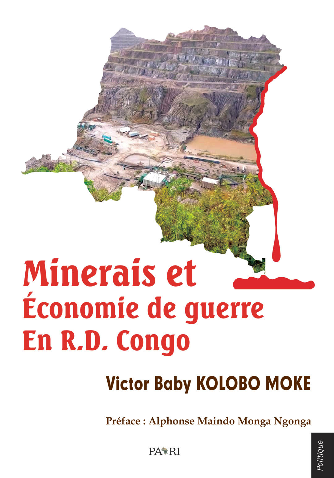 Minerais et Économie de guerre en R. D. Congo