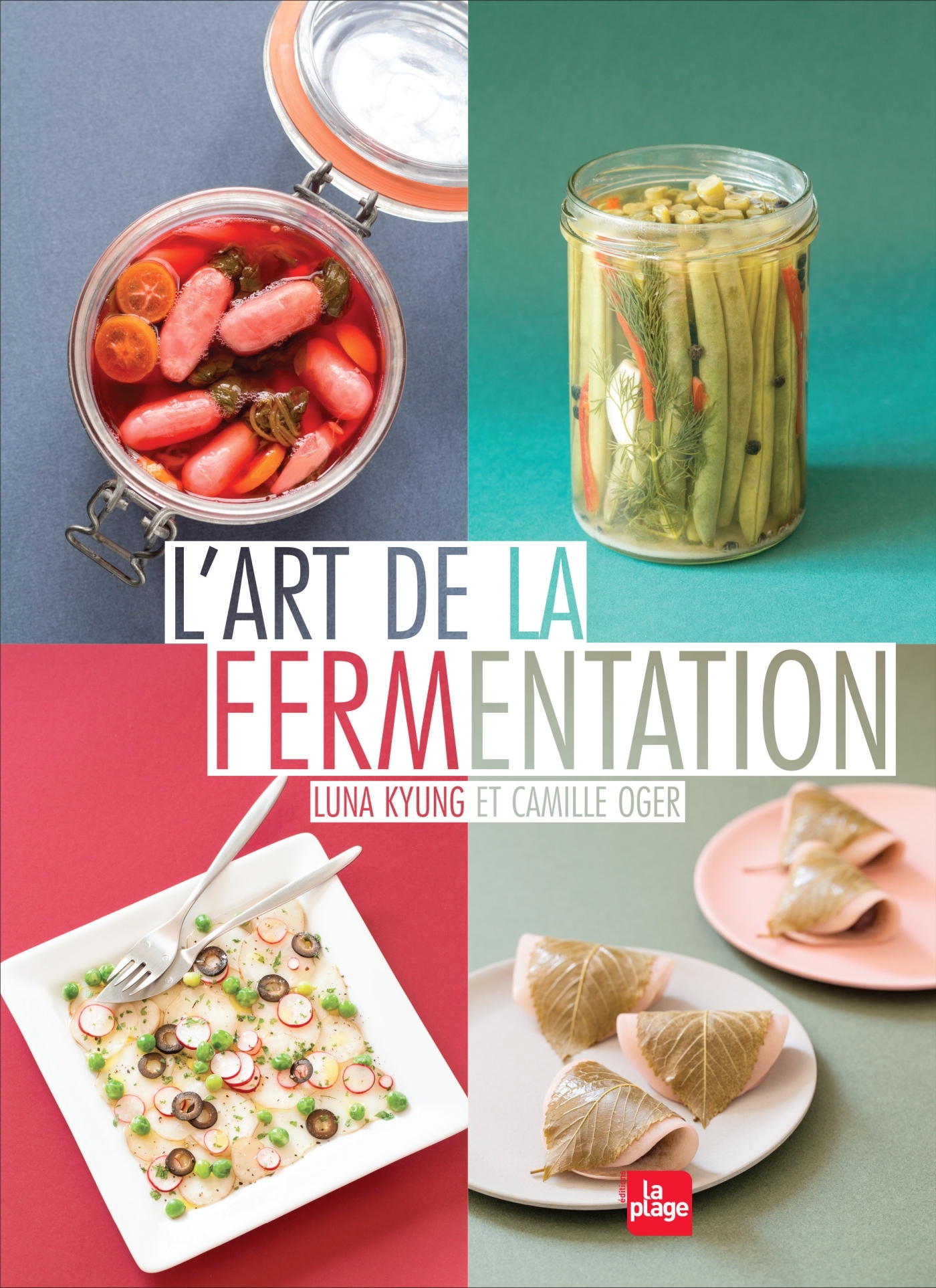 L ART DE LA FERMENTATION