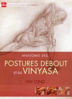 Anatomie des postures debout