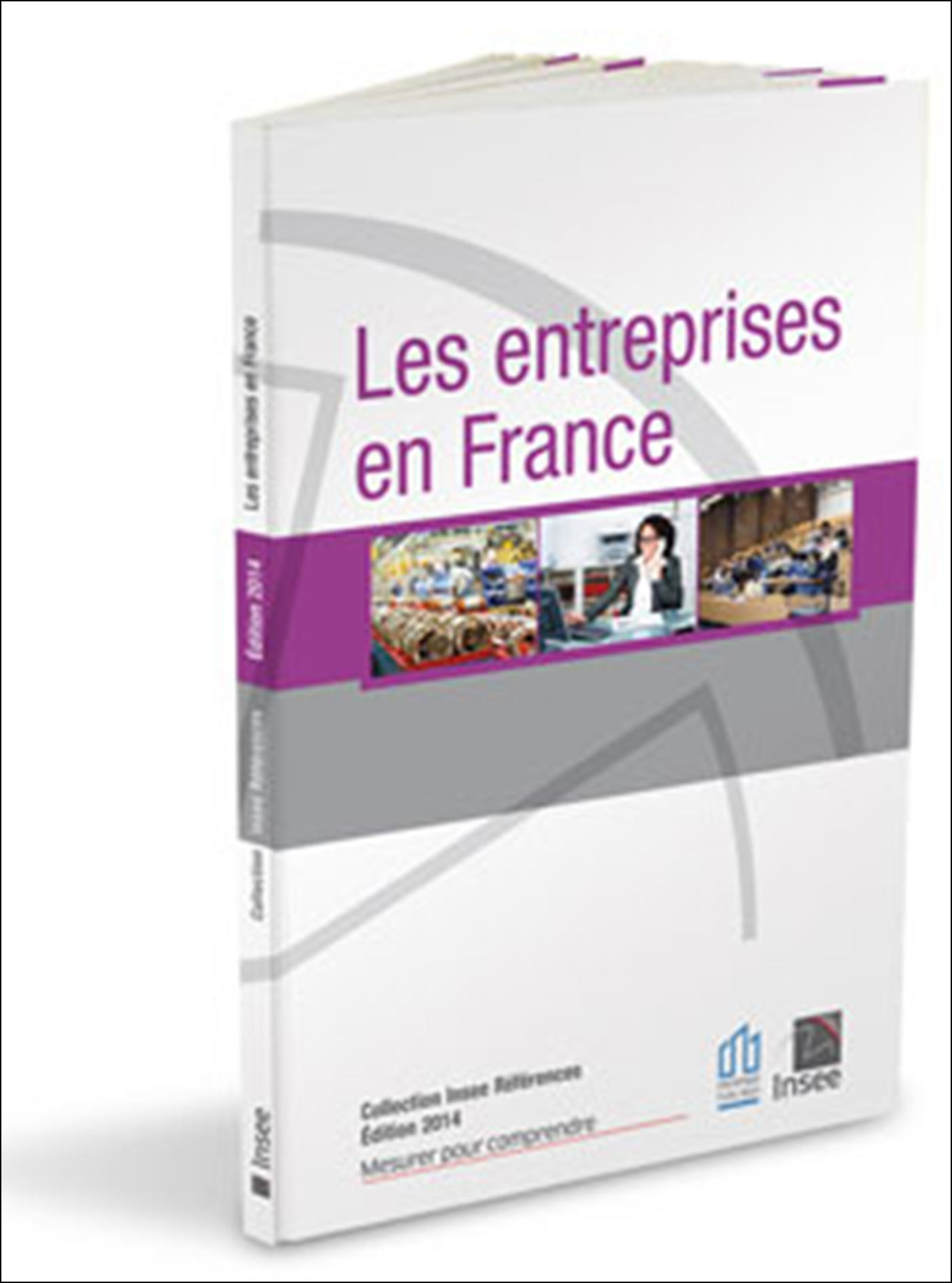 Les entreprises en France - Édition 2014
