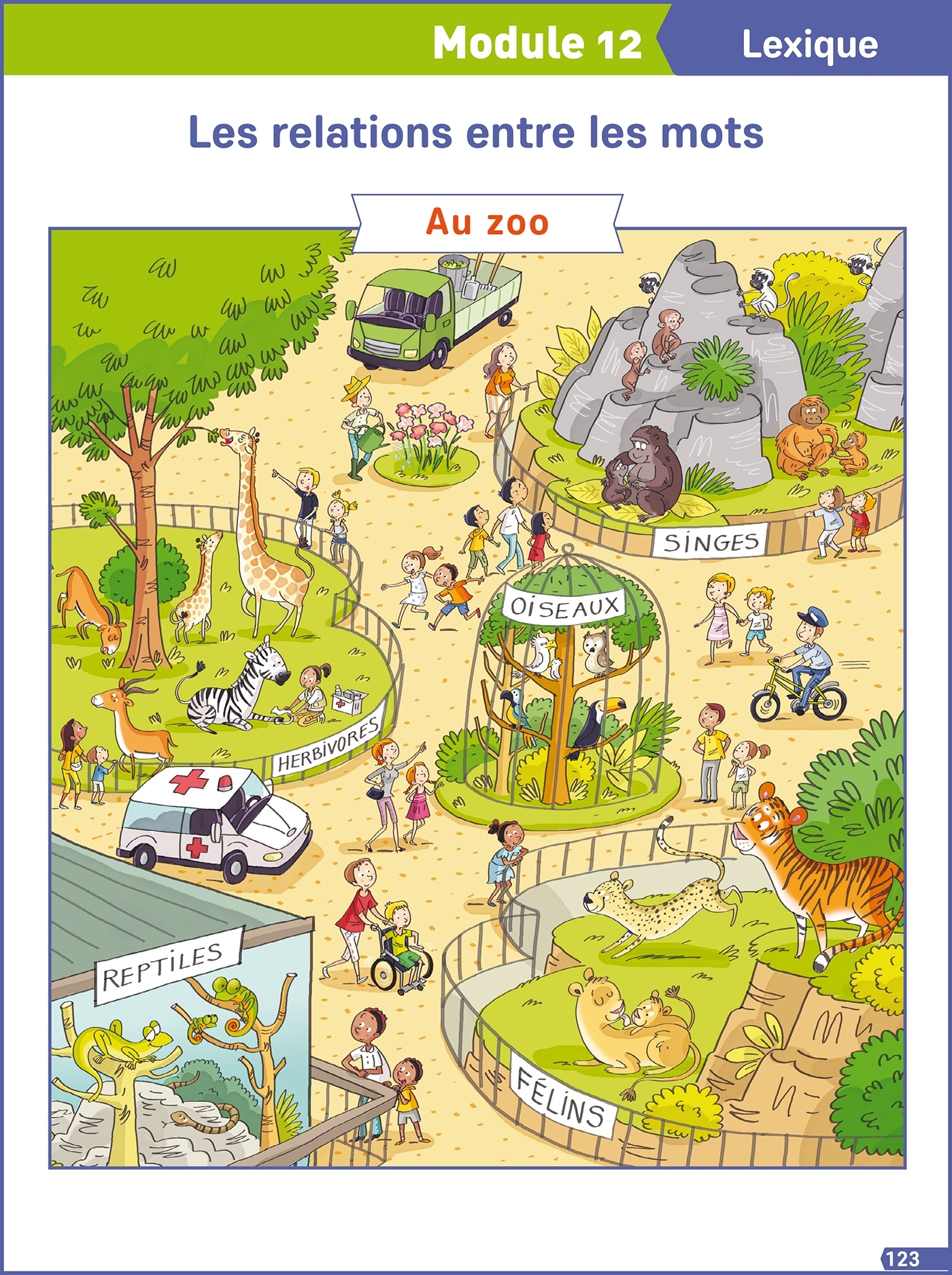Français Explicite CE1 - Posters - Ed. 2019