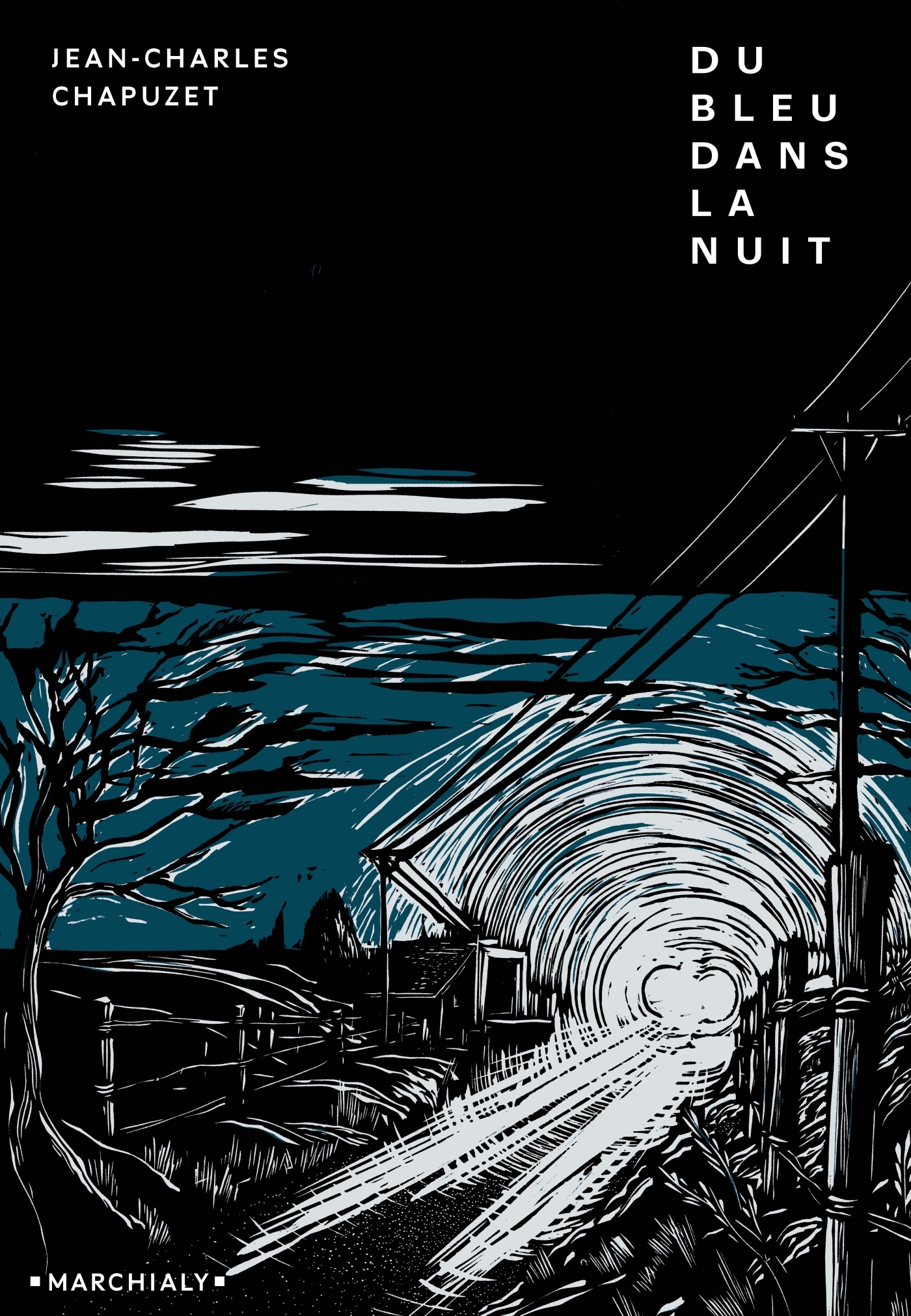 Du bleu dans la nuit