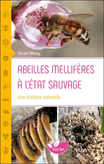 Abeilles mellifères à l'état sauvage - Une histoire naturelle