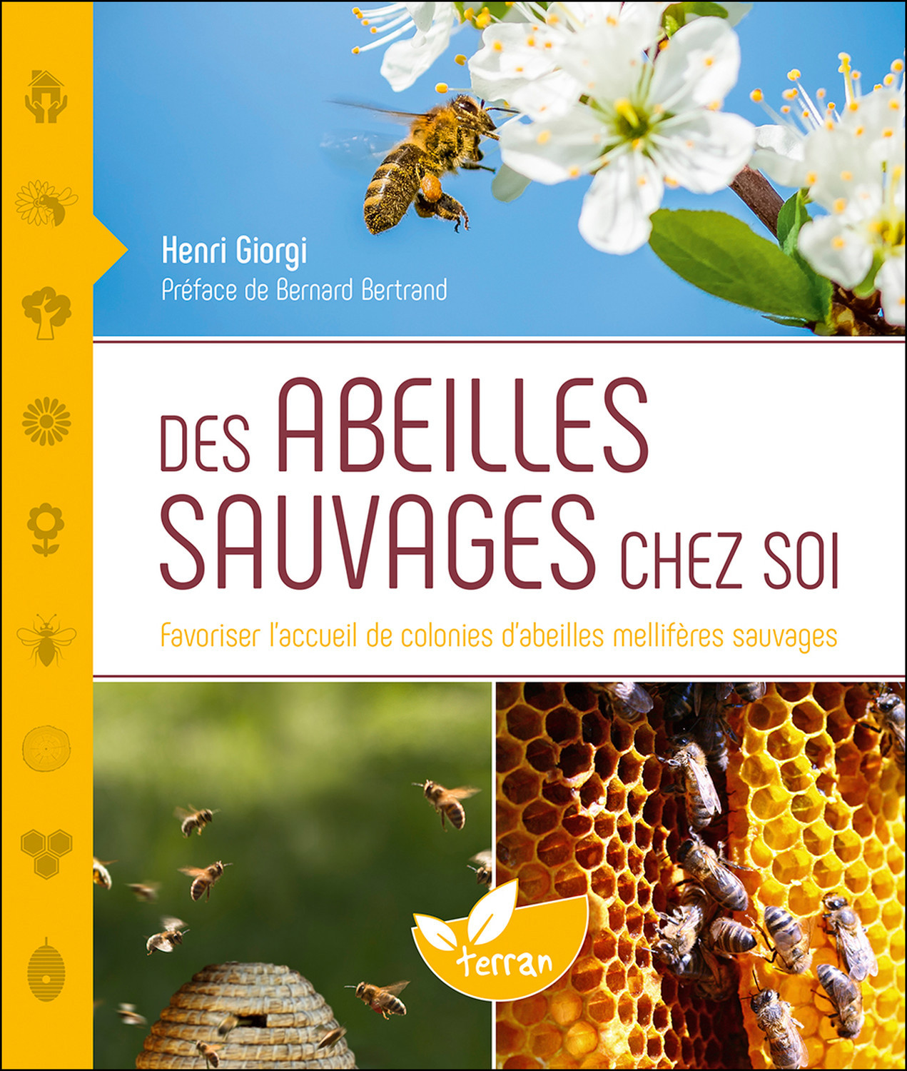 Des abeilles sauvages chez soi - Favoriser l'accueil de colonies d'abeilles mellifères sauvages