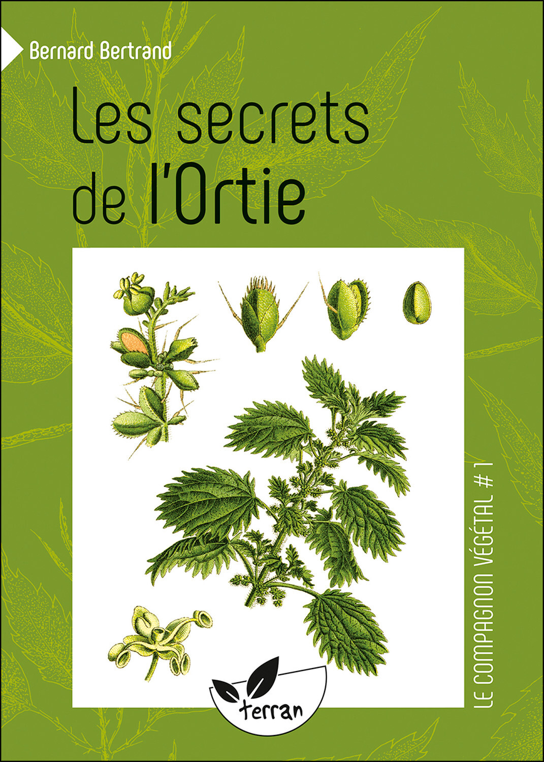 Les secrets de l'Ortie - Vol. 1