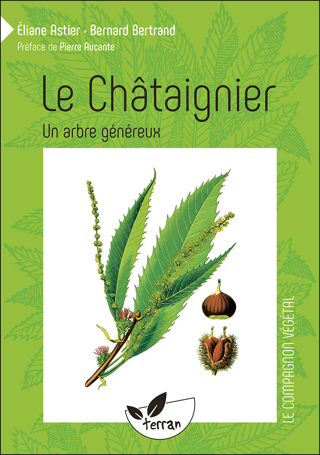 Le Châtaignier - Un arbre généreux