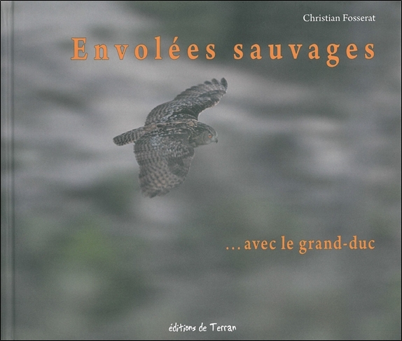 Envolées sauvages... avec le grand-duc