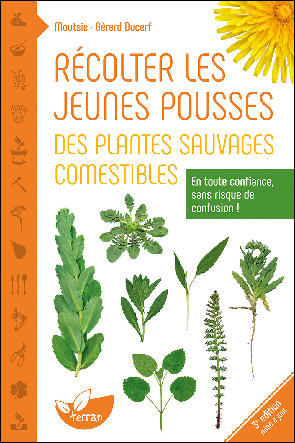 Récolter les jeunes pousses des plantes sauvages comestibles - En toute confiance, sans risque de confusion !
