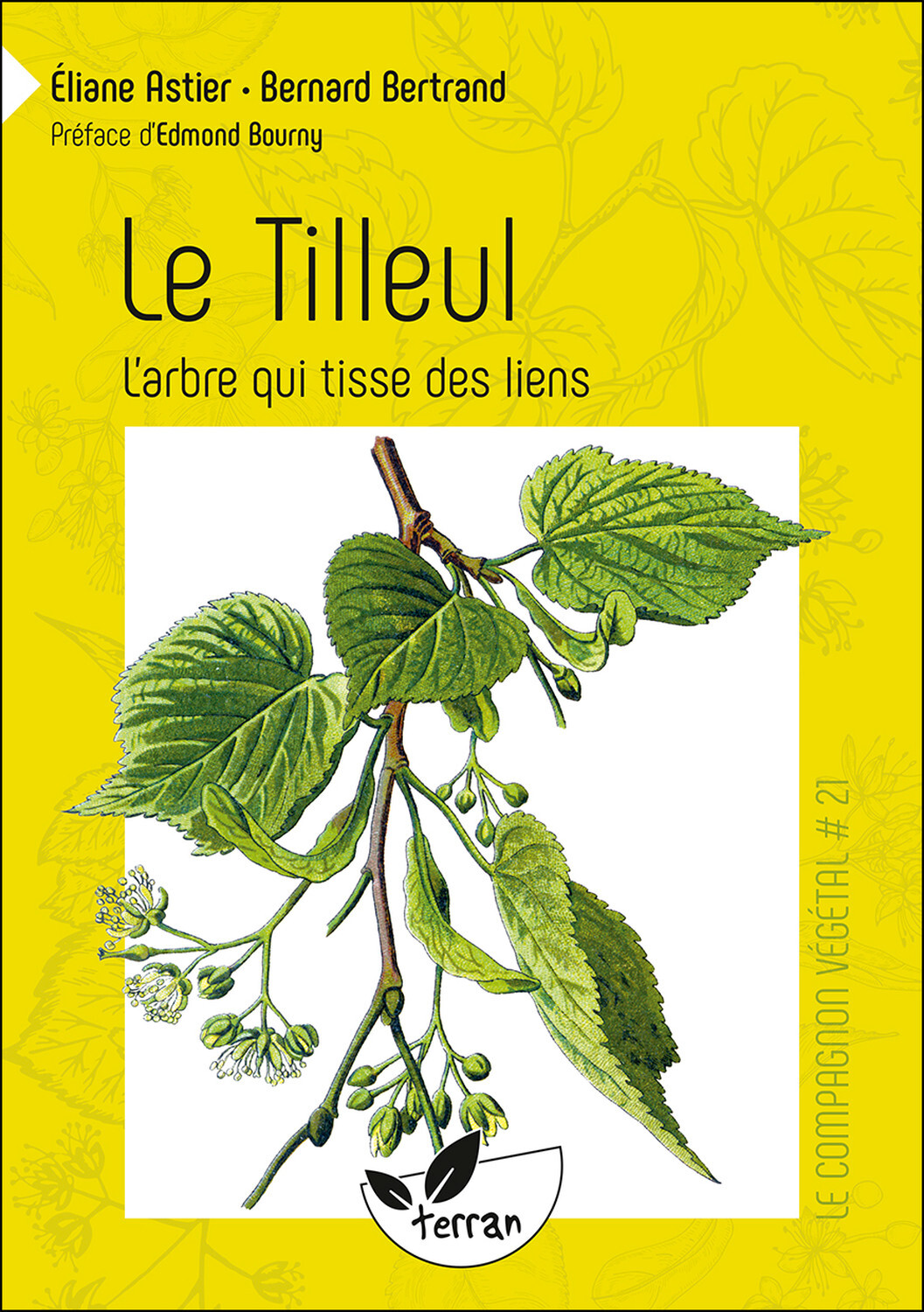 Le Tilleul - L'arbre qui tisse des liens - Vol. 21